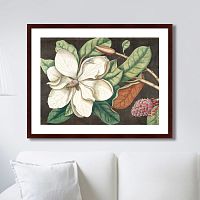 картина: beauty bloom №1, 1732г. в Волжском
