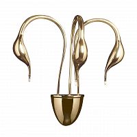 бра lightstar cigno collo 751632 в Волжском