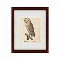 картина: one owl, 1560 в Волжском