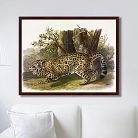 картина: jaguar, 1841г. в Волжском