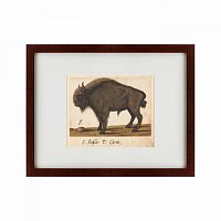 картина: bison, 1560 в Волжском