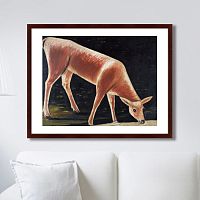 картина: roe deer drinking from a stream, 1901г. в Волжском