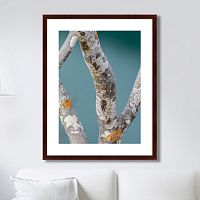 картина: trees on the galapagos islands, ecuador no3 в Волжском