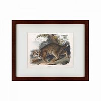 картина: bobcat, 1839 в Волжском