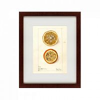 картина: watercolor collection, drawing №5, 1910 в Волжском
