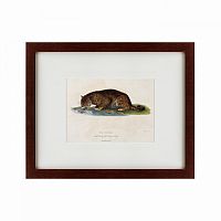 картина: a panther drinking, 1830 в Волжском