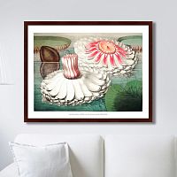 картина: water lily during bloom, 1870г. в Волжском
