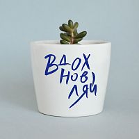 набор для выращивания eco мини-кашпо «вдохновляй» в Волжском