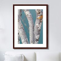 картина: trees on the galapagos islands, ecuador no1 в Волжском
