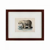 картина: white polar bear on an ice, 1830 в Волжском