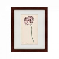 картина: tulp №2, 1815 в Волжском