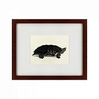 картина: an arakan forest turtle, 1873 в Волжском