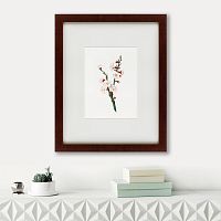 картина: apricot flower (prunus armeniaca), 1832 в Волжском