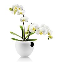 горшок для орхидеи orchid pot белый в Волжском