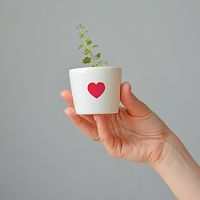 набор для выращивания eco мини-кашпо «сердце» в Волжском