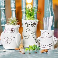 горшки для растений eco совы, 3 шт в Волжском