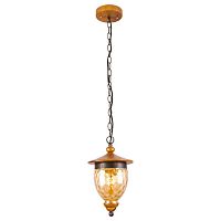 подвесной светильник arte lamp catena a6711sp-1br в Волжском