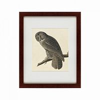 картина: great gray owl, 1834 в Волжском