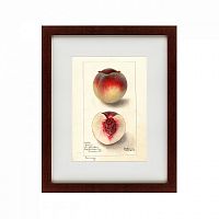 картина: watercolor collection, drawing №4, 1905 в Волжском