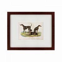 картина: three african bloodhounds, 1830 в Волжском