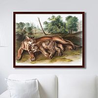 картина: the cougar, 1850г. в Волжском