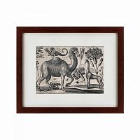 картина: a camel, 1670 в Волжском