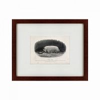 картина: a prize boar, 1867 в Волжском