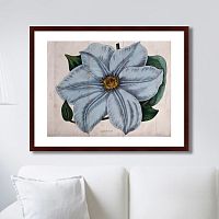 картина: exotic plants of the world №13, 1815г. в Волжском