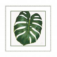 постер monstera зеленый в Волжском