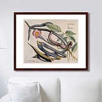 картина: exotic plants of the world №12, 1815г. в Волжском