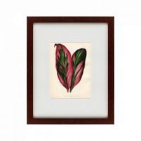 картина: botanical leaf dracaena, 1870 в Волжском