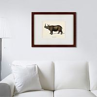картина: rhinoceros ancienne gravure, 1849 в Волжском