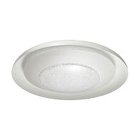 потолочный светодиодный светильник odeon light benso 4623/48cl в Волжском