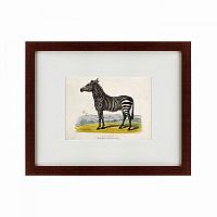 картина: a zebra, 1830 в Волжском