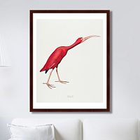 картина: scarlet ibis, 1827г. в Волжском