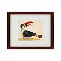 картина: white-throated toucan, 1716 в Волжском