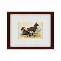 картина: two nilgais, 1830 в Волжском