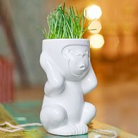 горшок для растений eco игнорик в Волжском