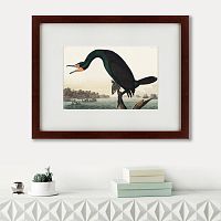 картина: florida cormorant, 1835 в Волжском