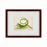 картина: green iguana, 1701 в Волжском