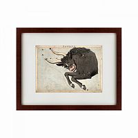картина: signs of zodiac taurus, 1825 в Волжском