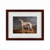 картина: portrait of a greyhound, 1744 в Волжском