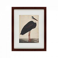 картина: black stork in a landscape, индия, 1780 в Волжском