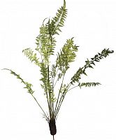 декор fern plant в Волжском