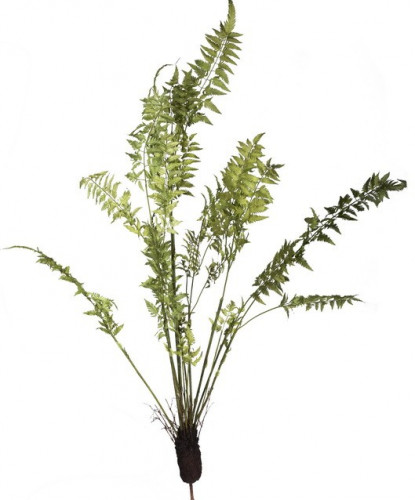 декор fern plant в Волжском