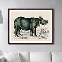 картина: rhinoceros, 1774г. в Волжском