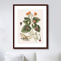 картина: beauty bloom №4, 1732г. в Волжском