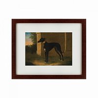 картина: portrait of a greyhound called pompon, 1746 в Волжском