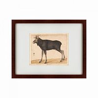 картина: moose, 1560 в Волжском