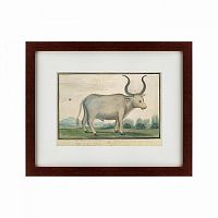 картина: cape ox, 1778 в Волжском